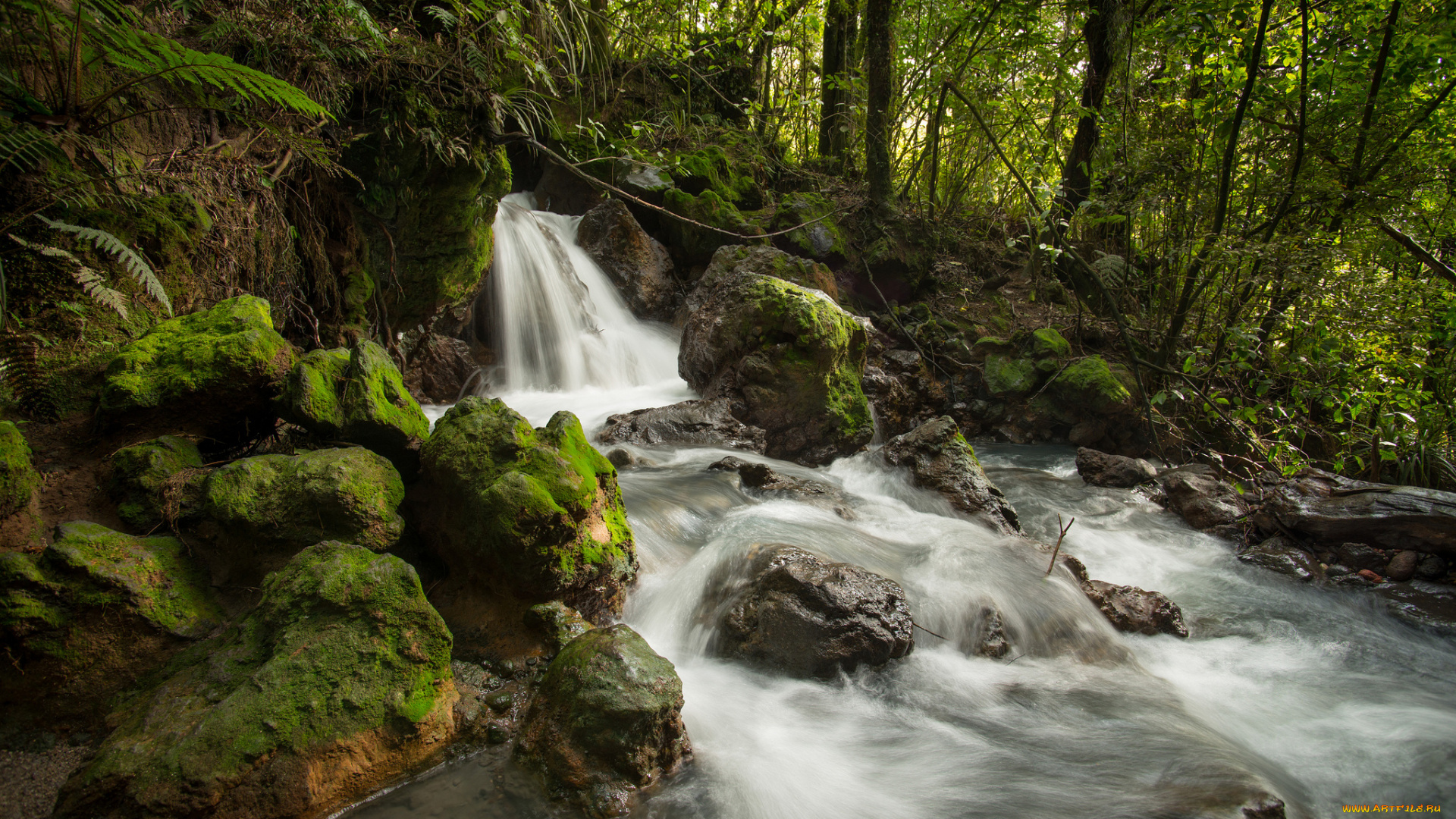 ketetahi, stream, tongariro, national, park, new, zealand, природа, водопады, речка, ручей, камни, лес, поток, новая, зеландия