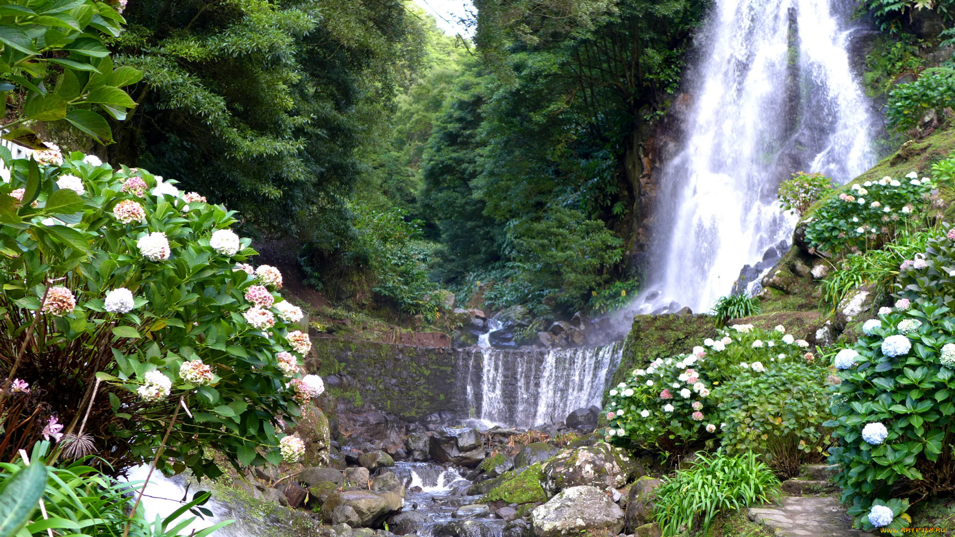 португалия, акадинха, природа, водопады, лес, цветы, водопад
