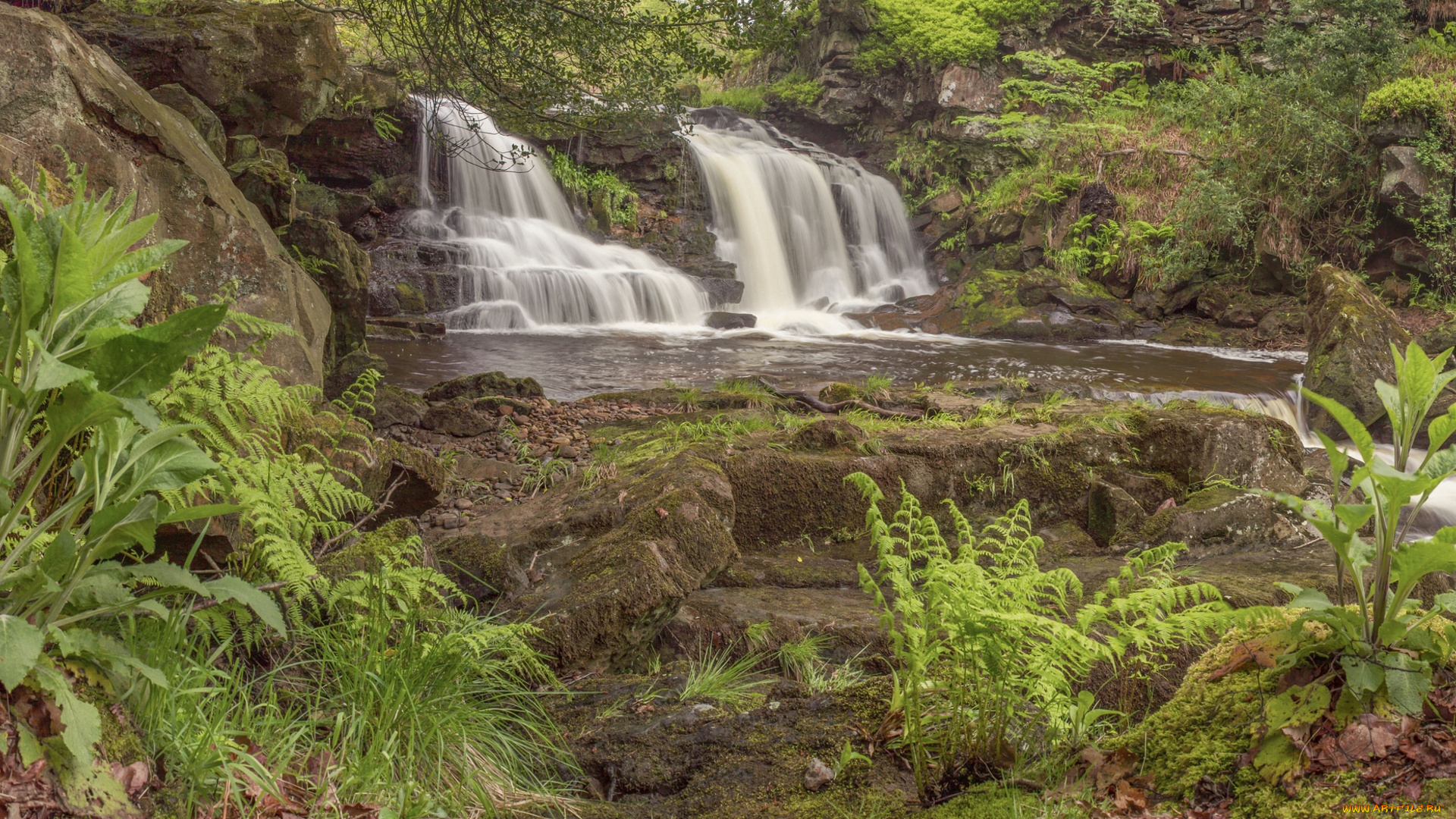 water, ark, foss, north, york, moors, england, природа, водопады, англия, каскад