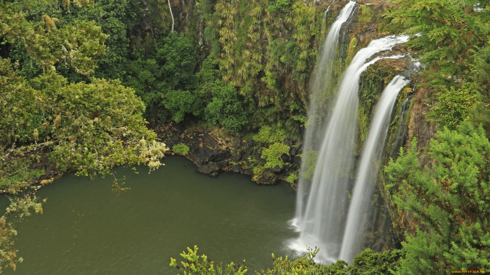 whangarei, falls, hatea, river, new, zealand, природа, водопады, водопад, река, лес