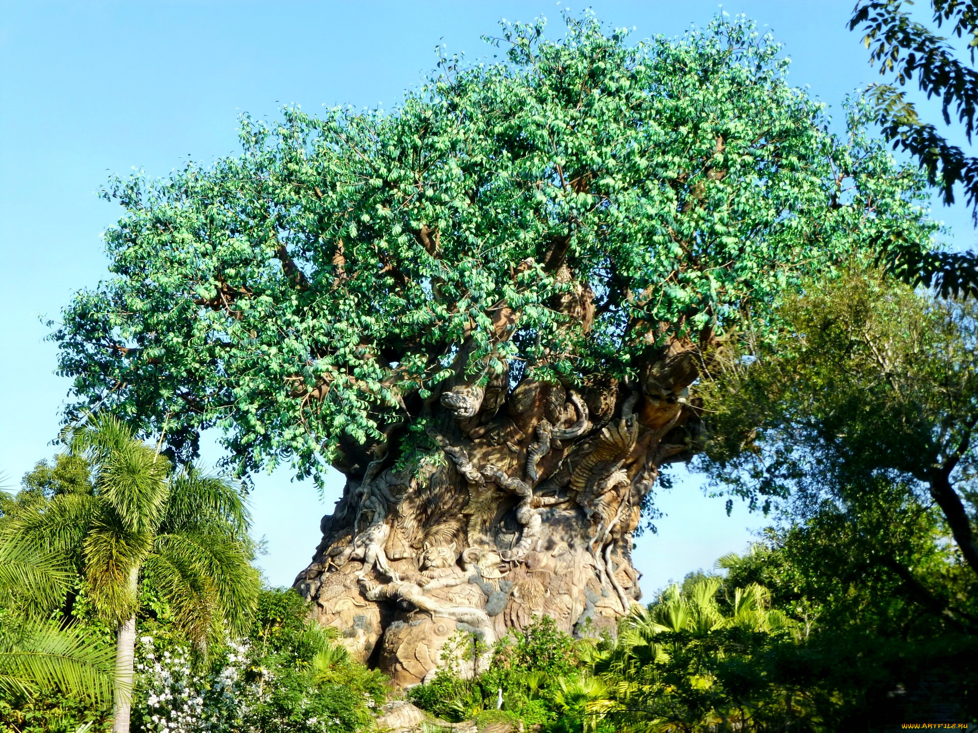 disney`s, animal, kingdom, tree, of, life, природа, деревья, парк, дерево, крона, корни, фигурки