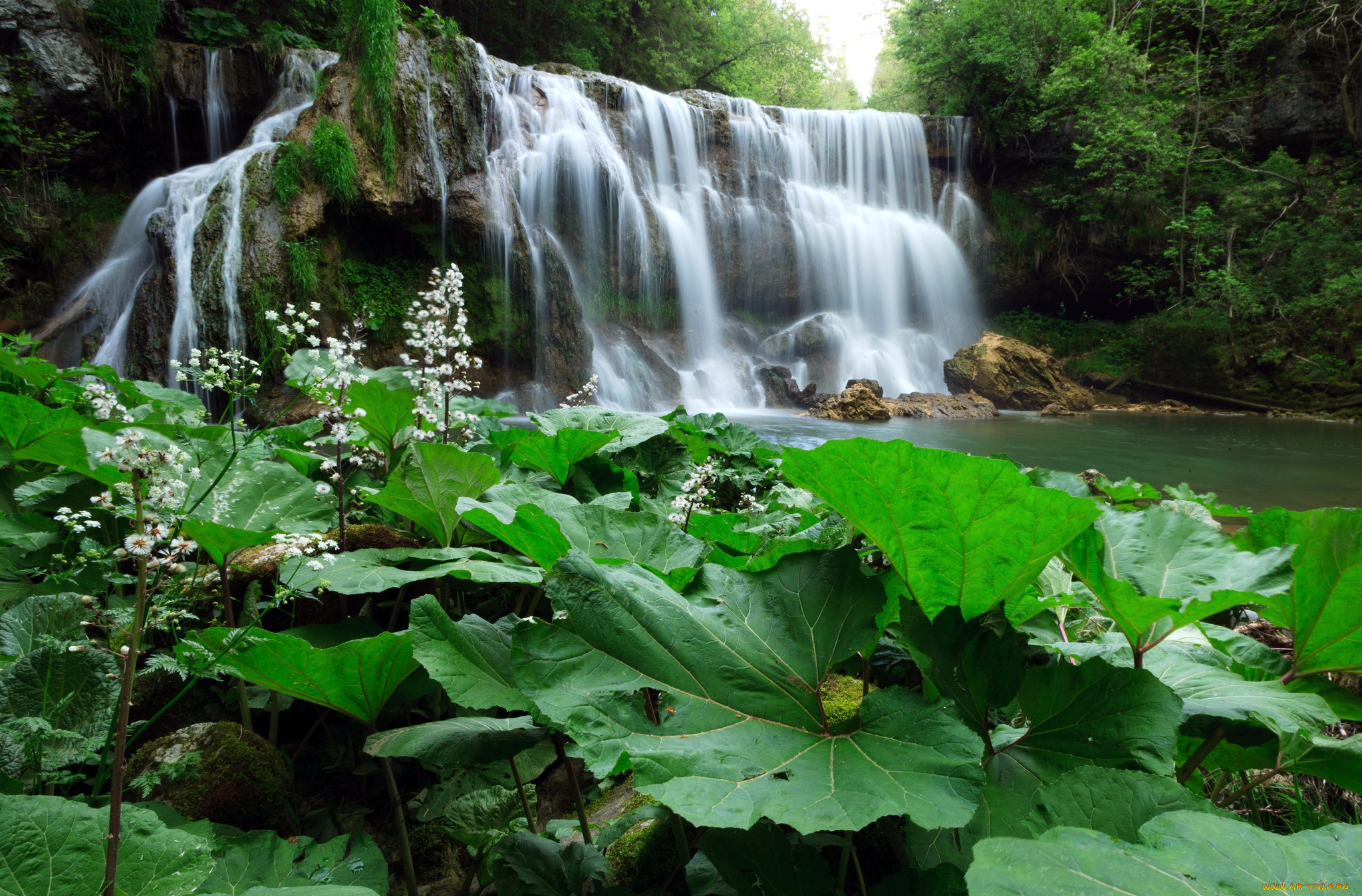 природа, водопады, листья, вода