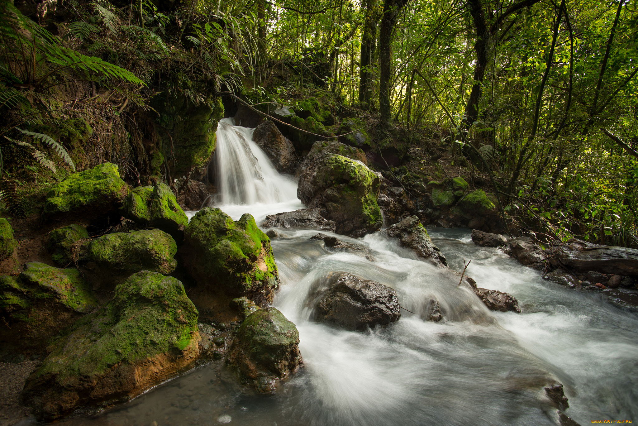 ketetahi, stream, tongariro, national, park, new, zealand, природа, водопады, речка, ручей, камни, лес, поток, новая, зеландия