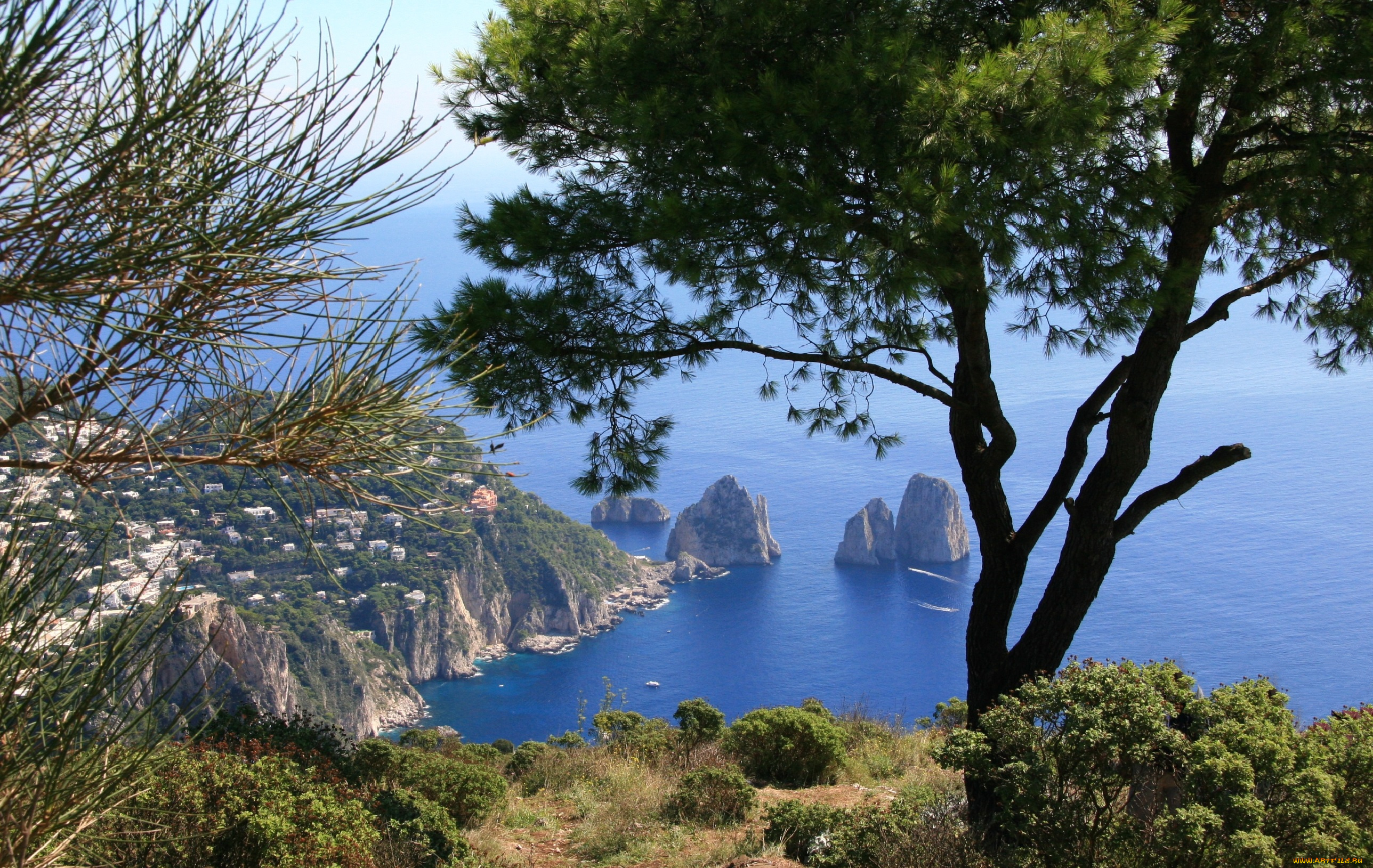 monte, solara, природа, побережье, панорама, деревья, бухта, море, скалы