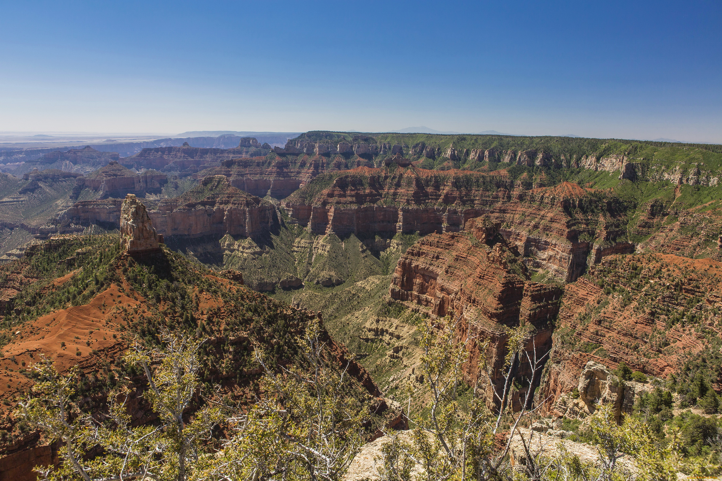 grand, canyon, national, park, arizona, природа, горы, лес