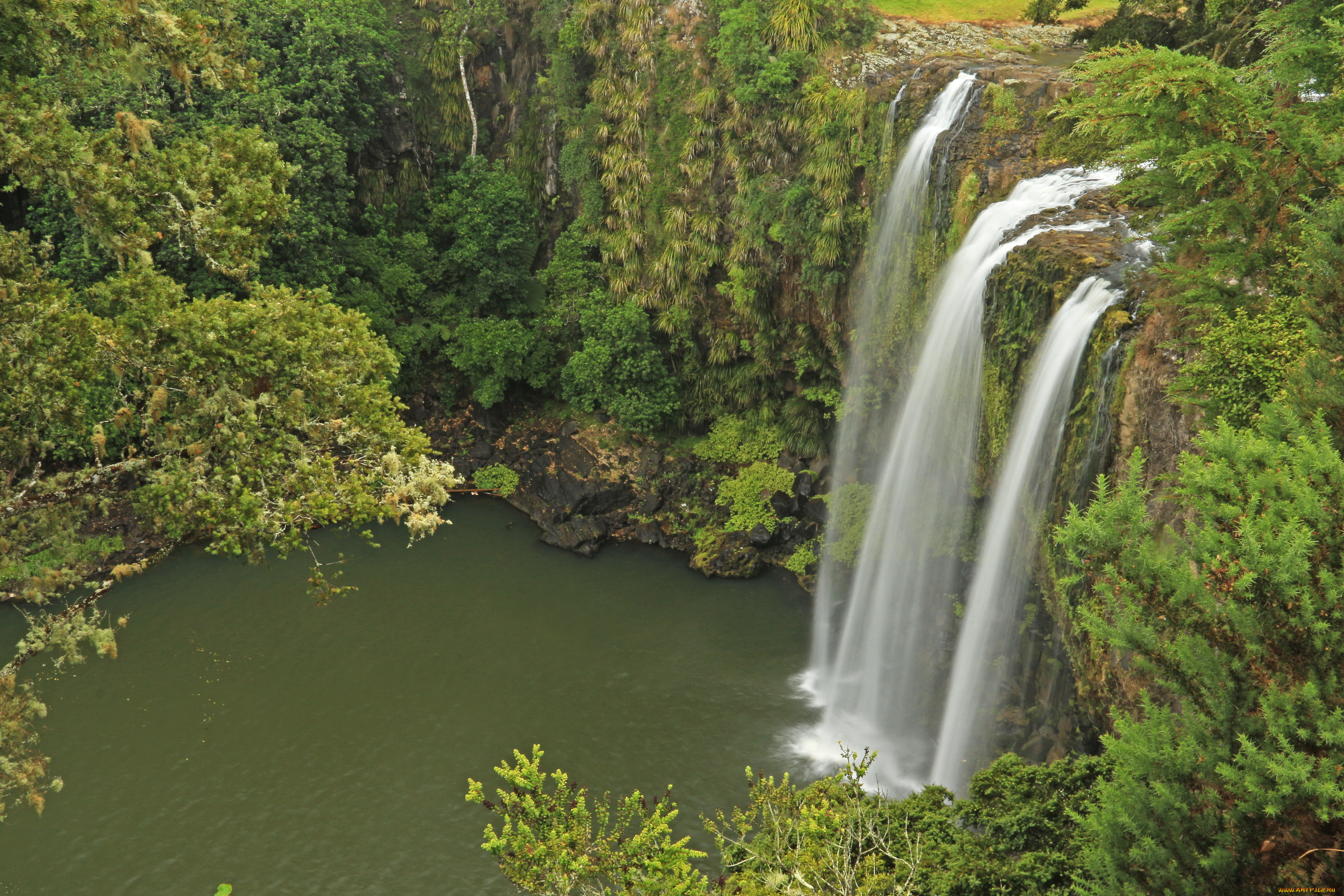 whangarei, falls, hatea, river, new, zealand, природа, водопады, водопад, река, лес