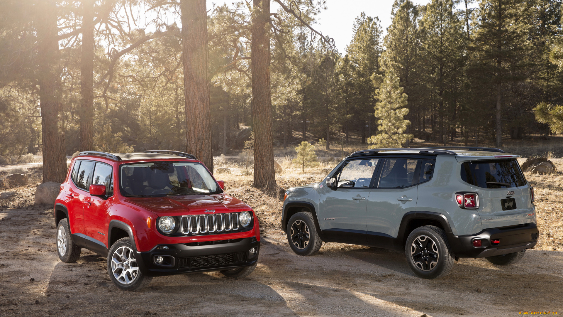 2015, jeep, renegade, автомобили, jeep, renegade, серый, красный, металлик, лес