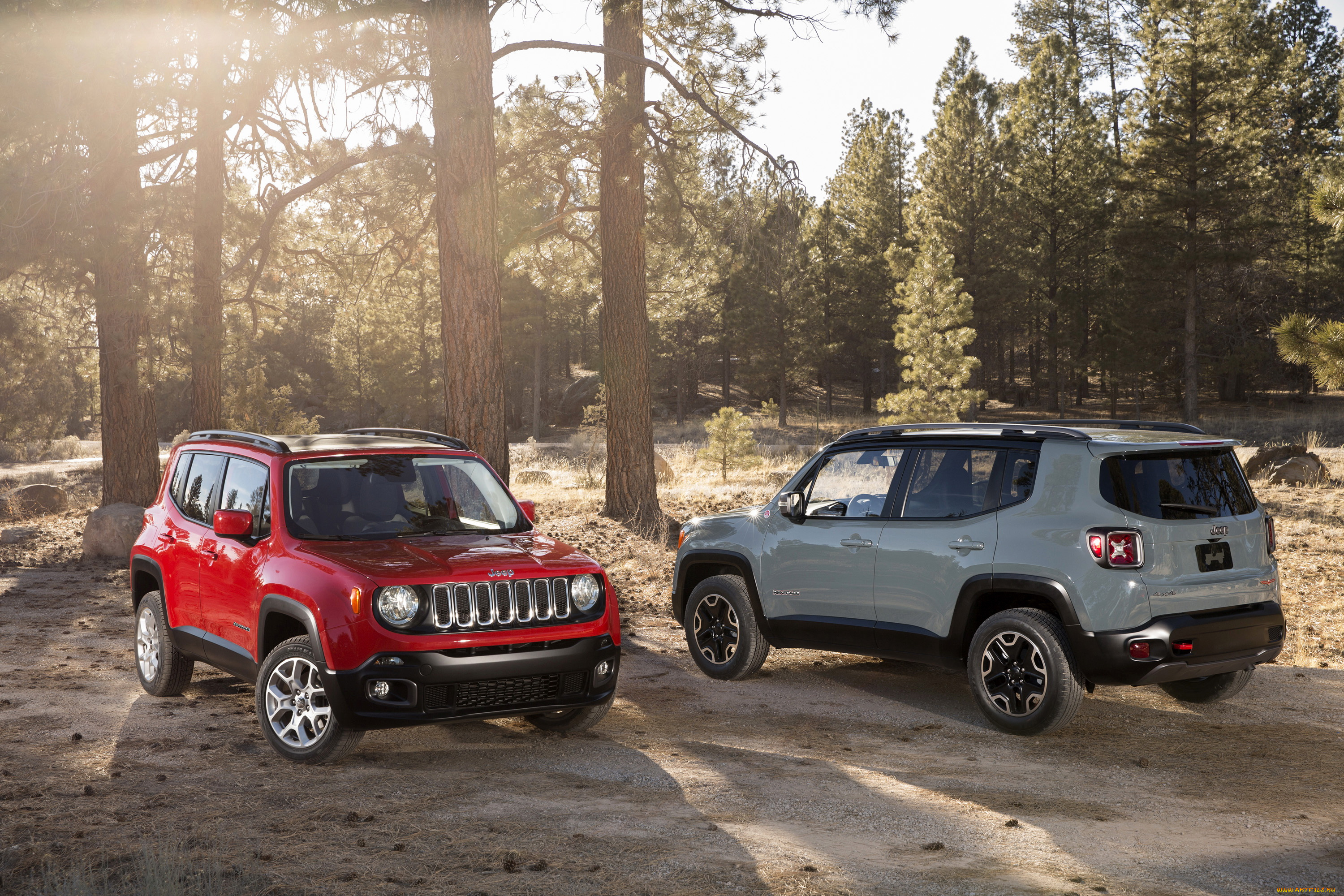 2015, jeep, renegade, автомобили, jeep, renegade, серый, красный, металлик, лес