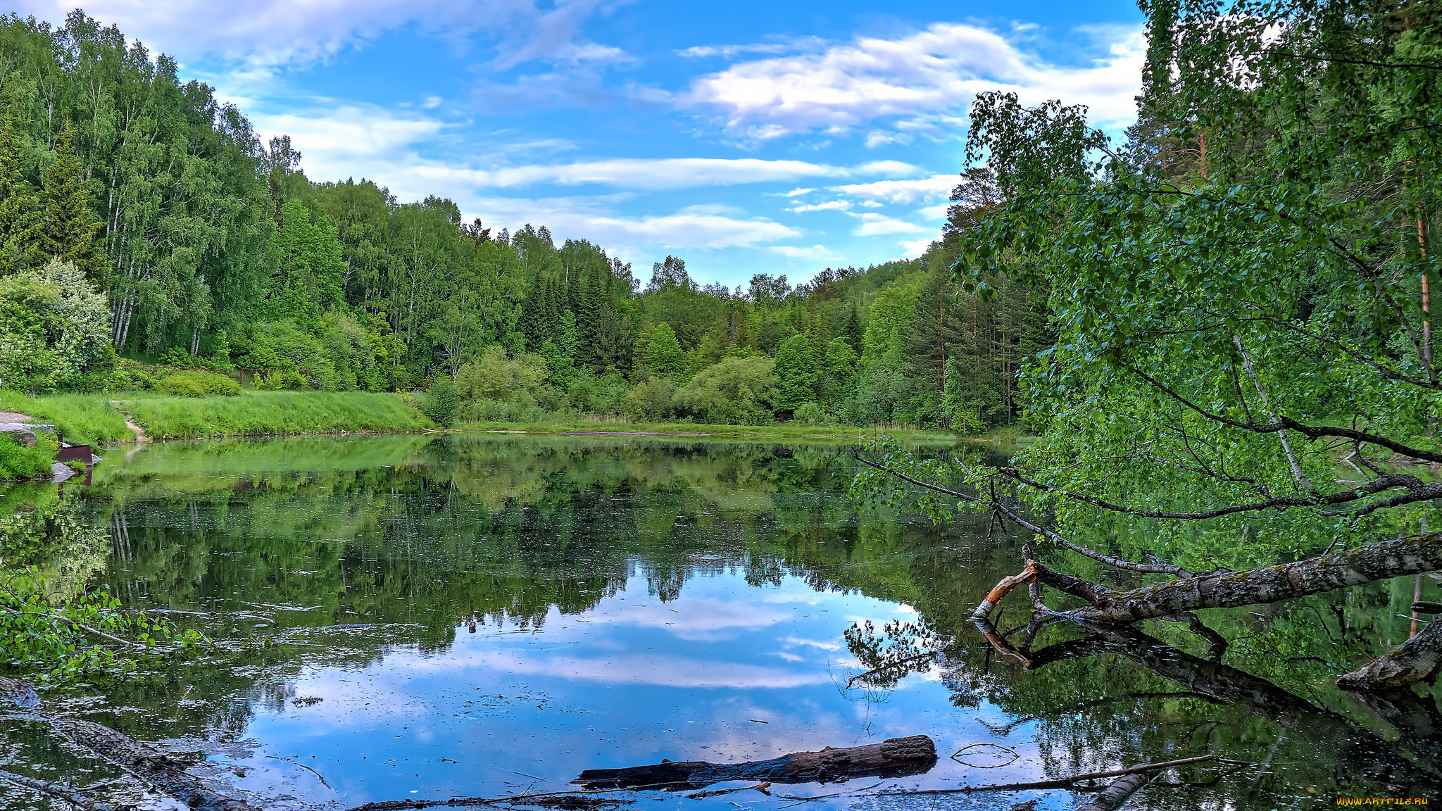 природа, реки, озера, река, лес