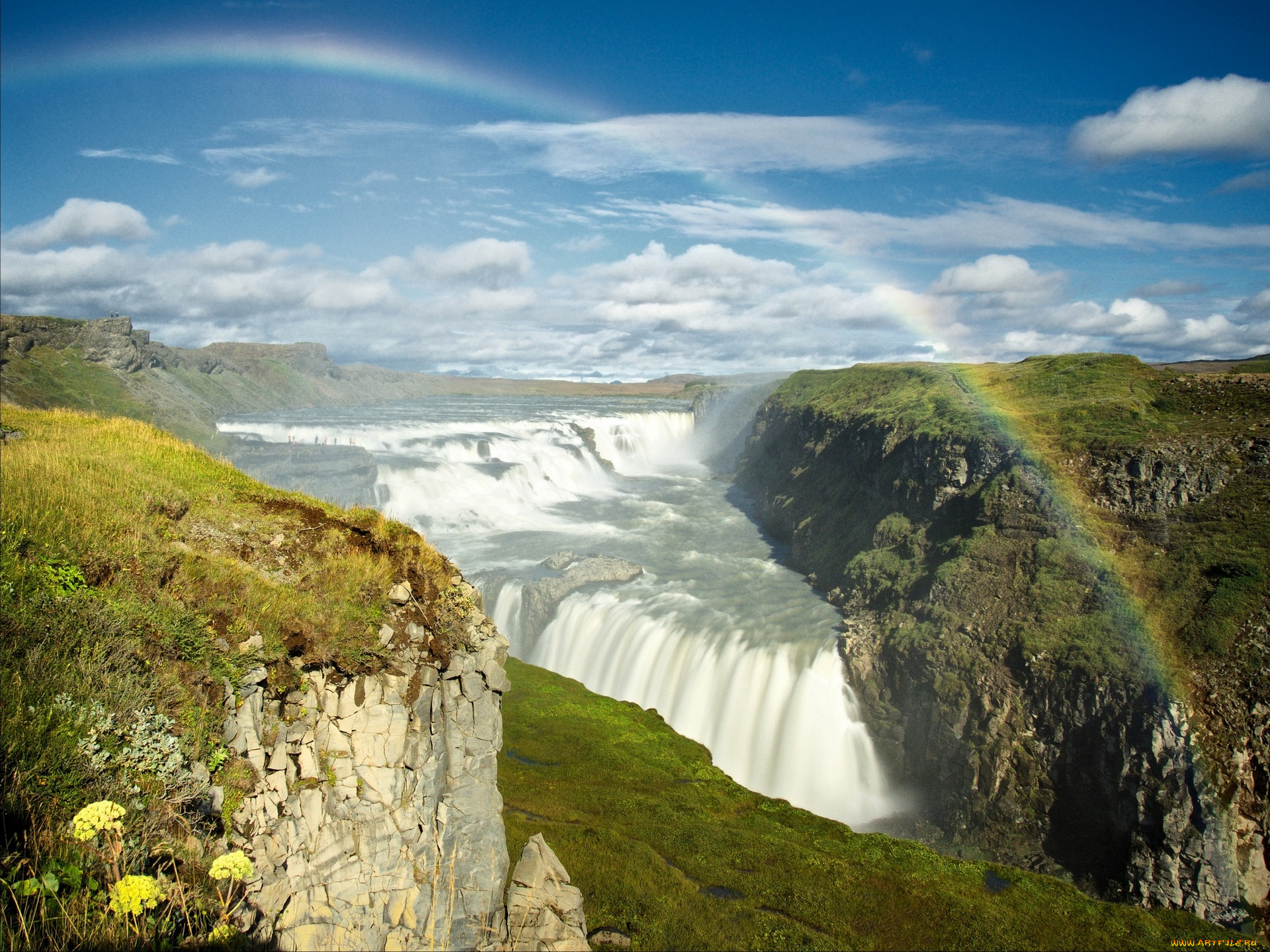 исландия, природа, водопады, цветы, трава, радуга