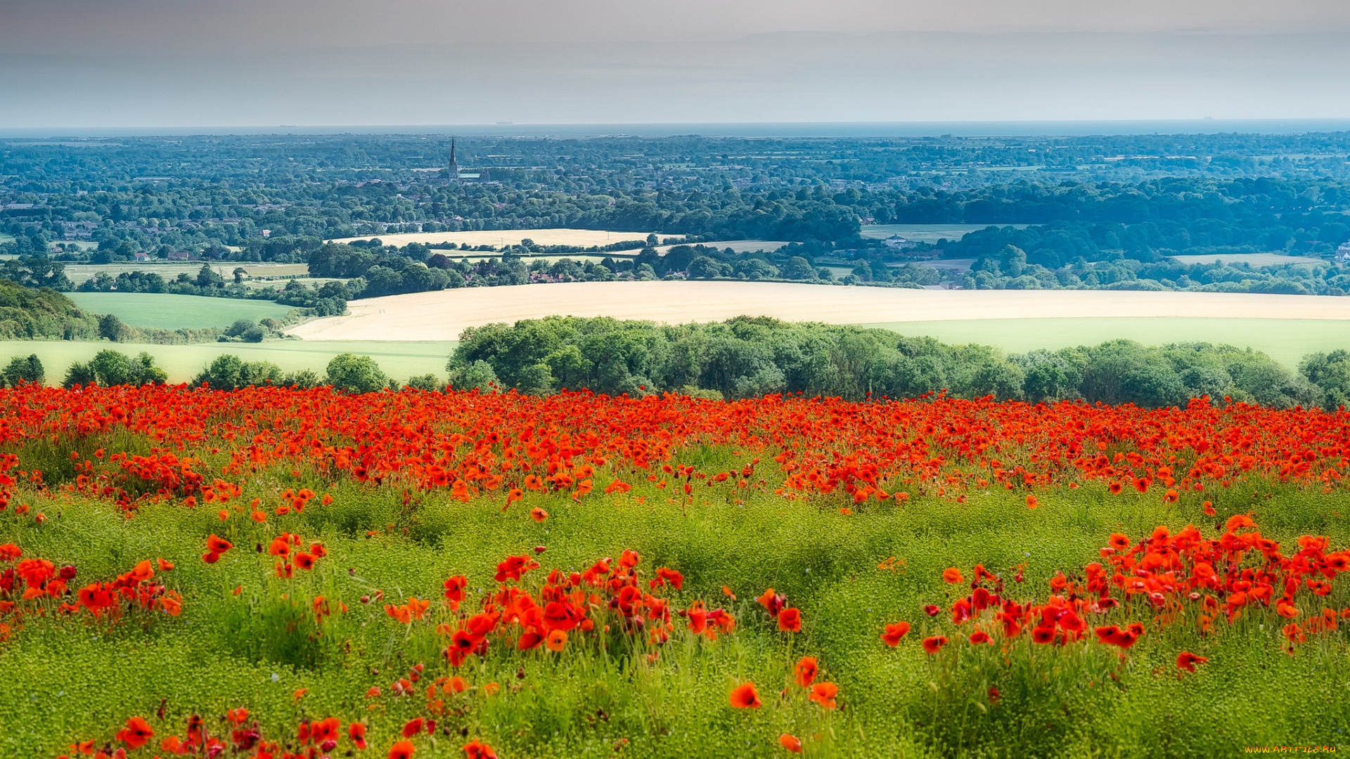 природа, пейзажи, england, west, dean, chichester, district