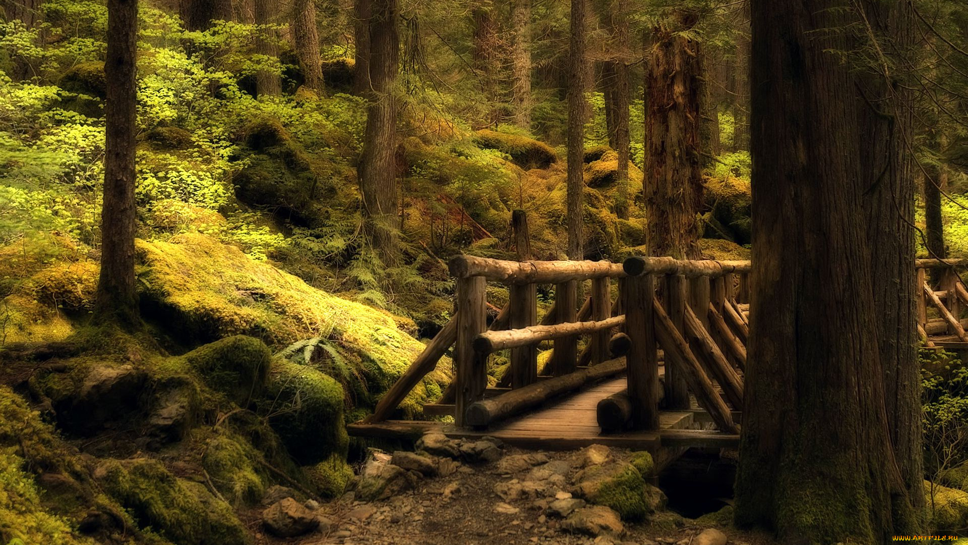 mystery, bridge, природа, лес