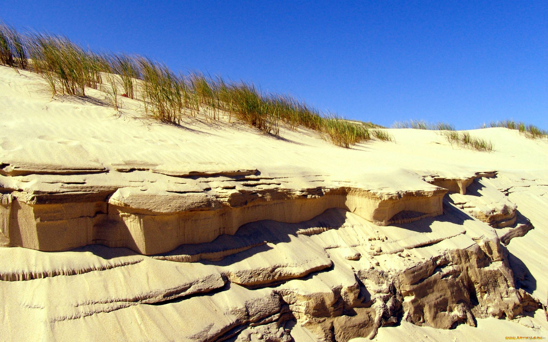 dunes, природа, другое