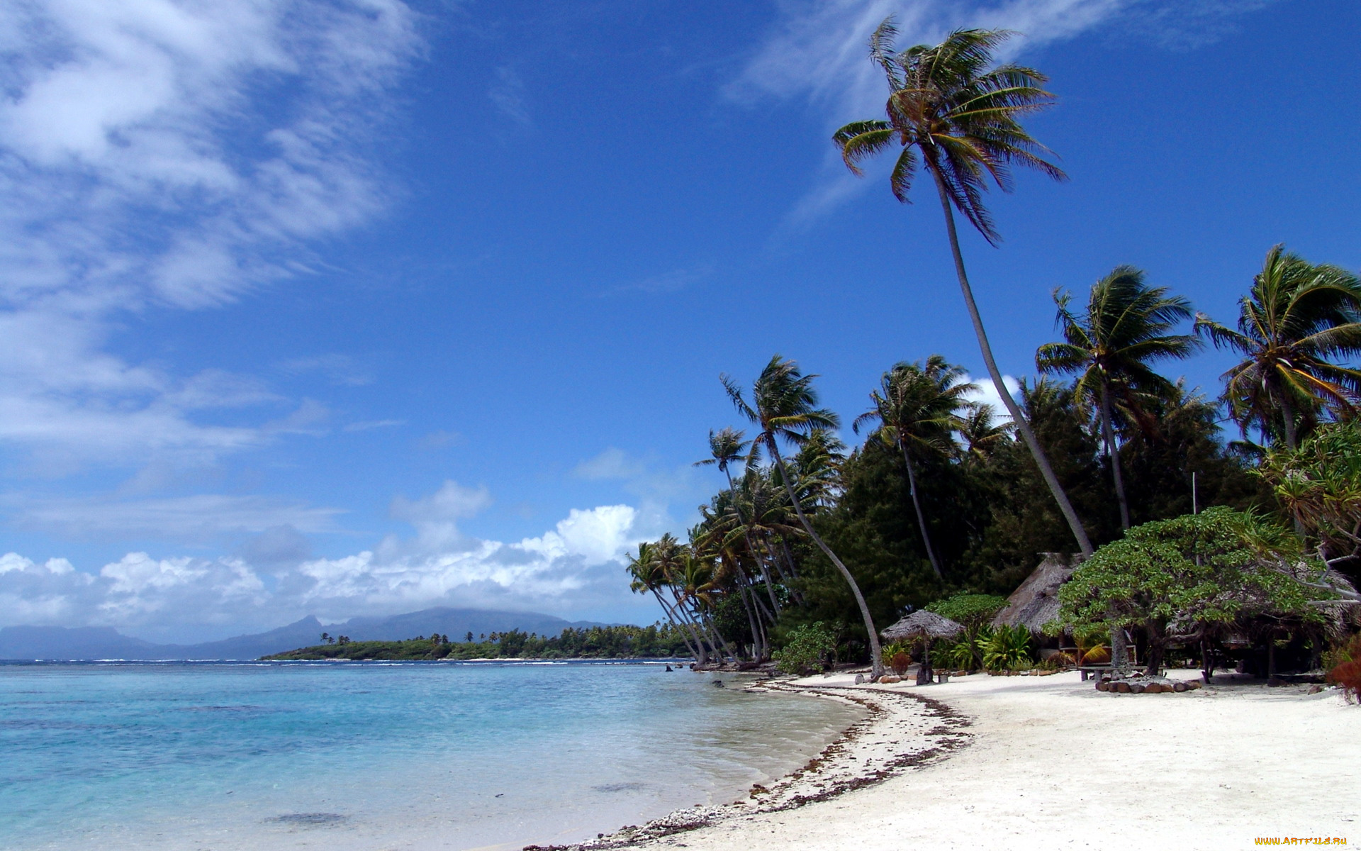 polynesian, природа, тропики