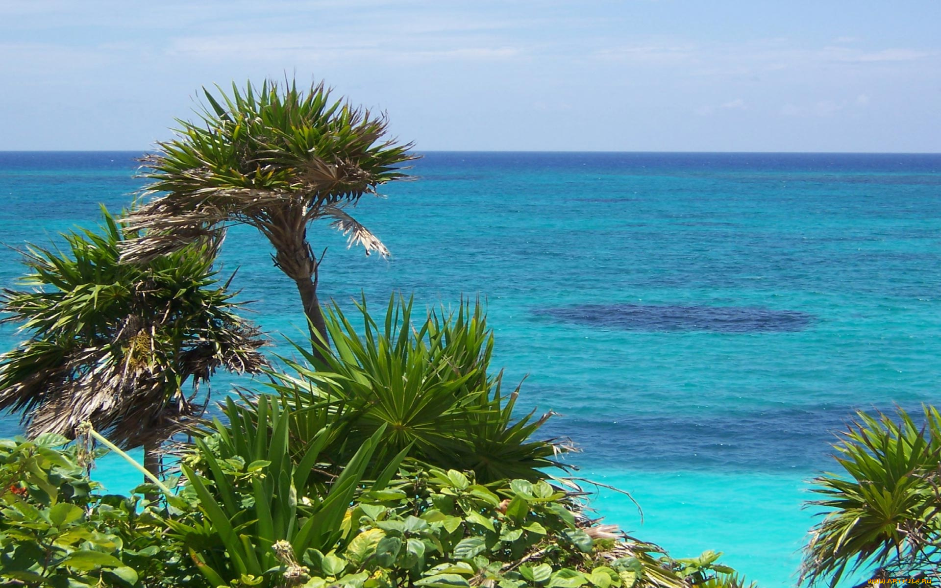 tulum, природа, моря, океаны