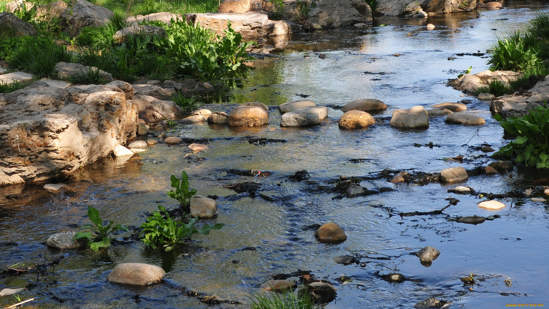 природа, реки, озера, камни, вода