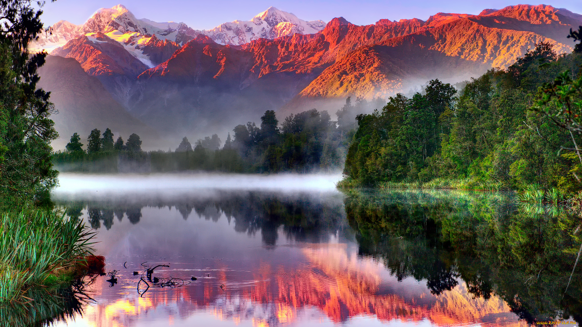 природа, пейзажи, отражения, небо, горы, лес, озеро, lake, matheson, южные, альпы, гора, кука, ледник, фокса, национальный, парк, вестленд, южный, остров, новая, зеландия