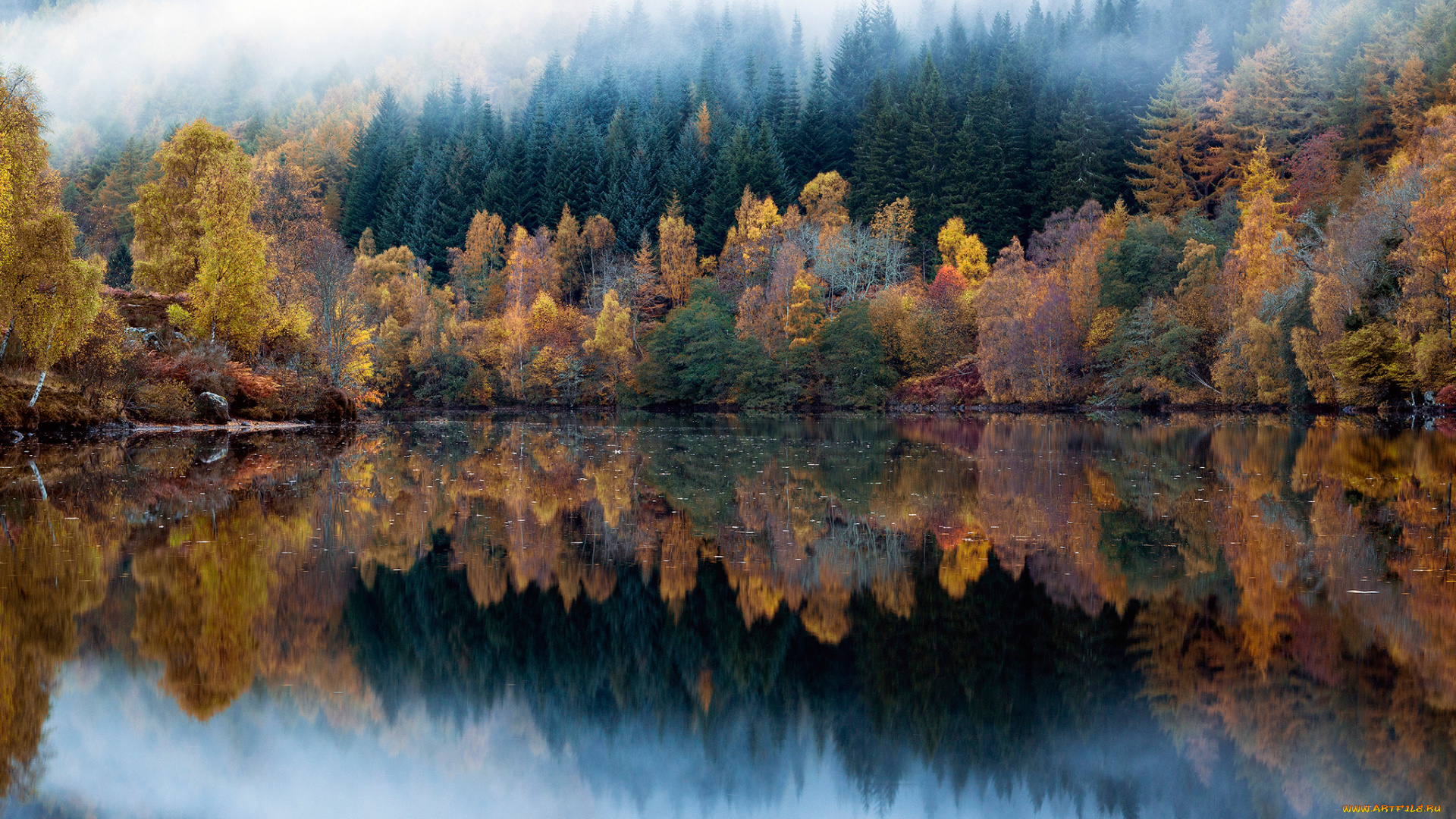 природа, реки, озера, осень, отражения, озеро, лес