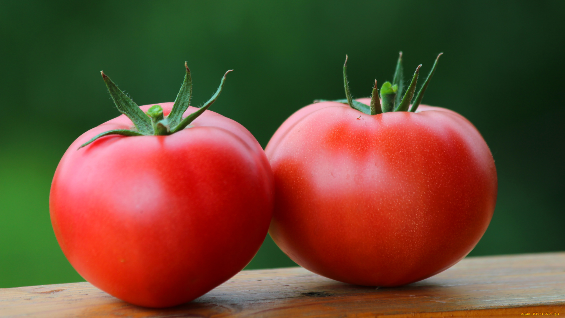 еда, помидоры, дача, урожай, томаты, своё, природа, овощи, лето, вкусно, витамины