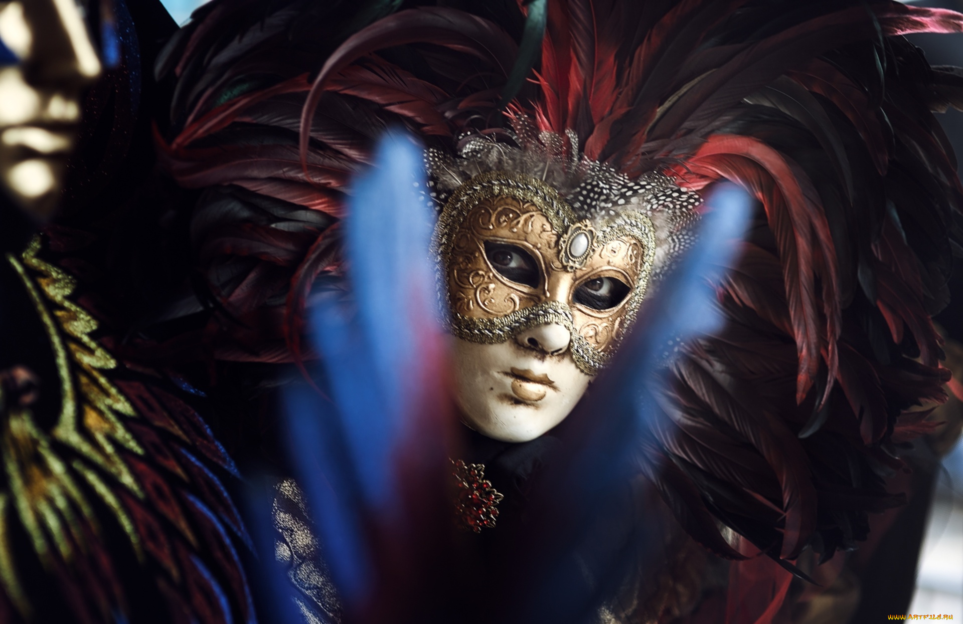 разное, маски, , карнавальные, костюмы, взгляд, карнавал, маска, перья