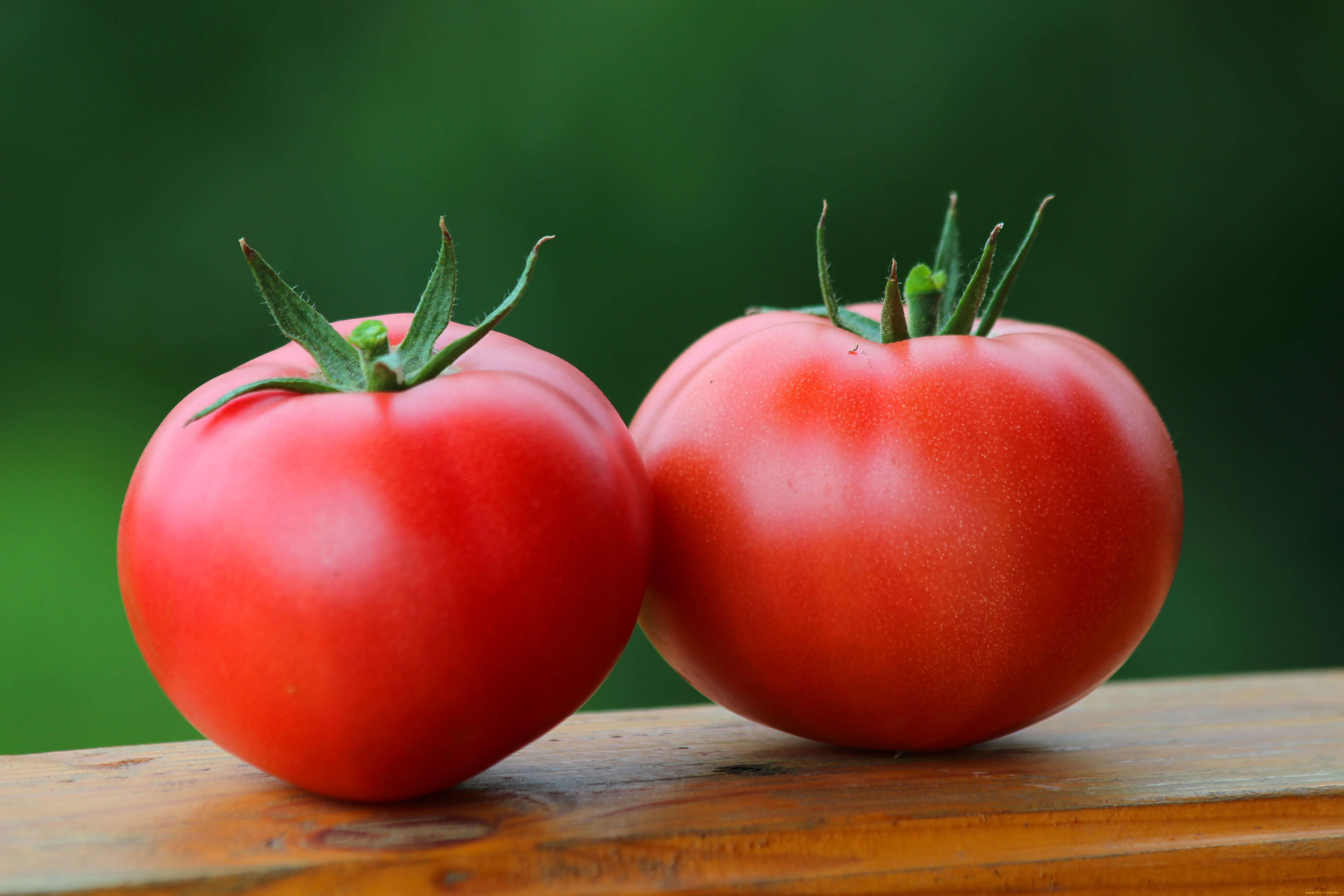 еда, помидоры, дача, урожай, томаты, своё, природа, овощи, лето, вкусно, витамины