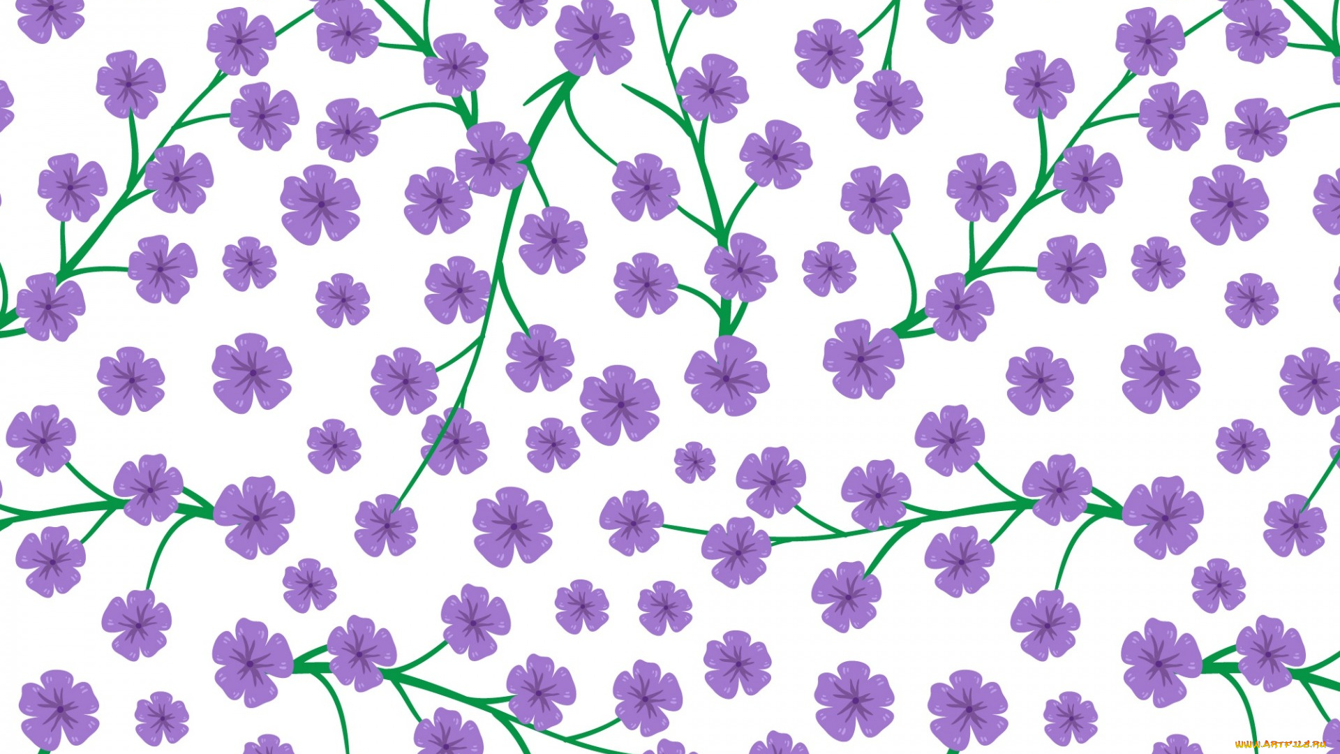 векторная, графика, цветы, , flowers, цветы, purple, pattern, background, white