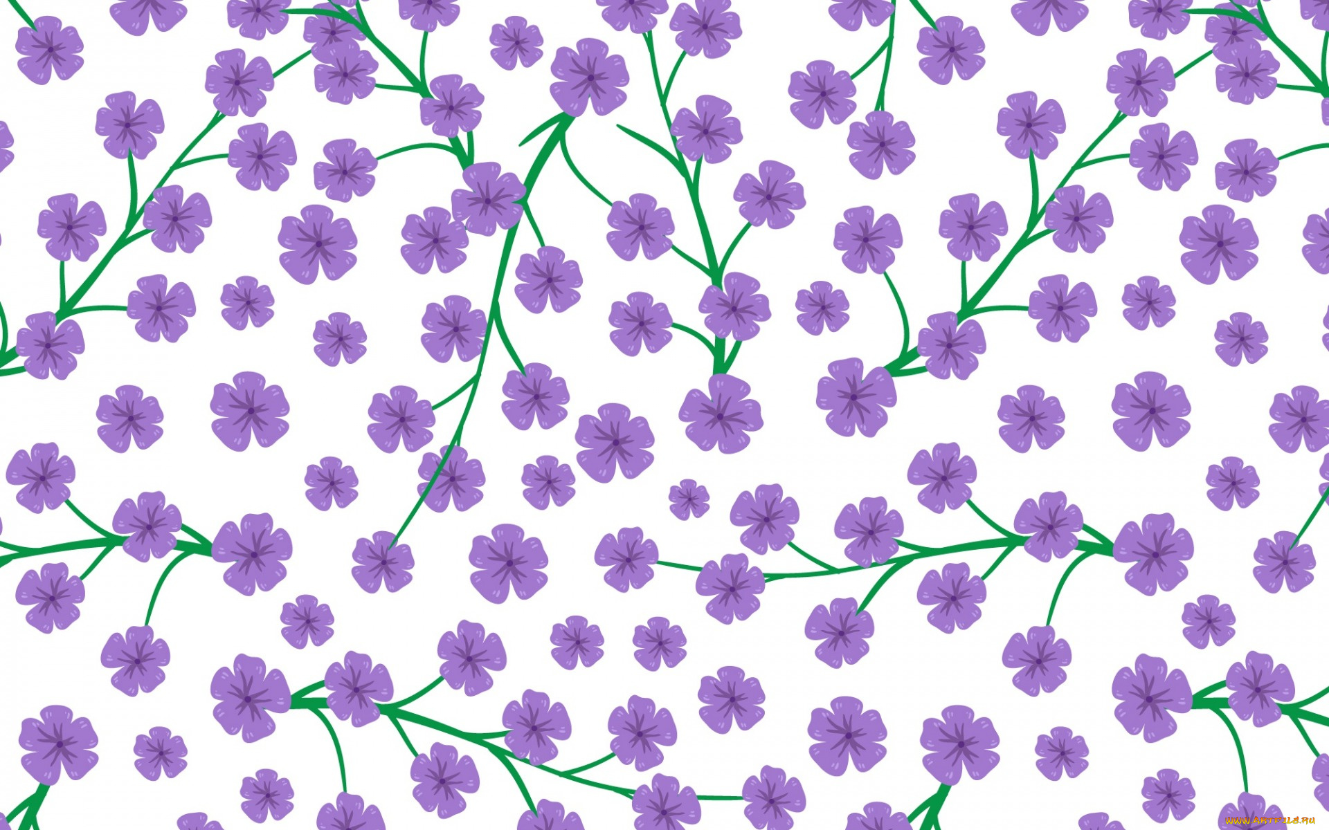 векторная, графика, цветы, , flowers, цветы, purple, pattern, background, white