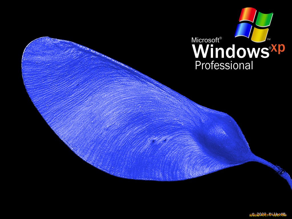 компьютеры, windows, xp