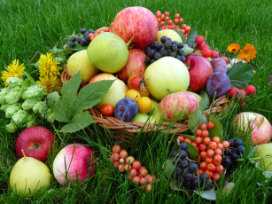 Картинка еда фрукты ягоды витамины дары природы виноград яблоки сливы россыпь фруктов