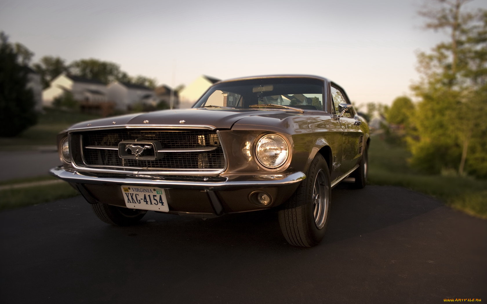 автомобили, mustang