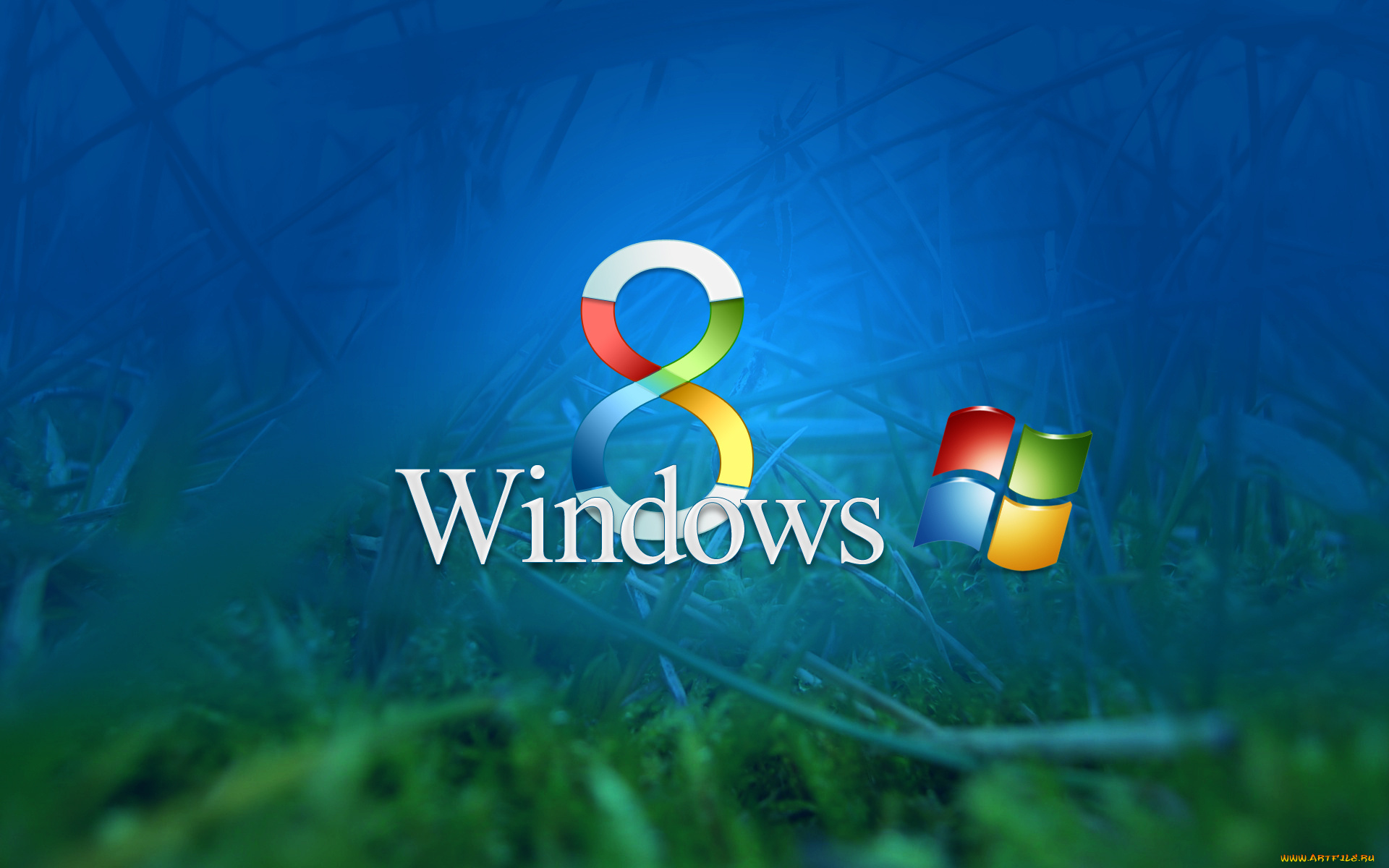 №509228, компьютеры, windows, трава