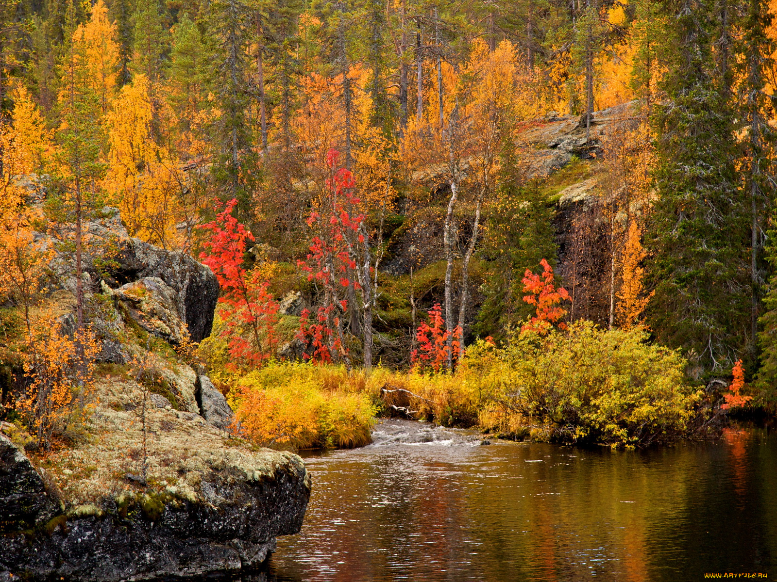 autumn, forest, природа, реки, озера, краски, осень, лес, река