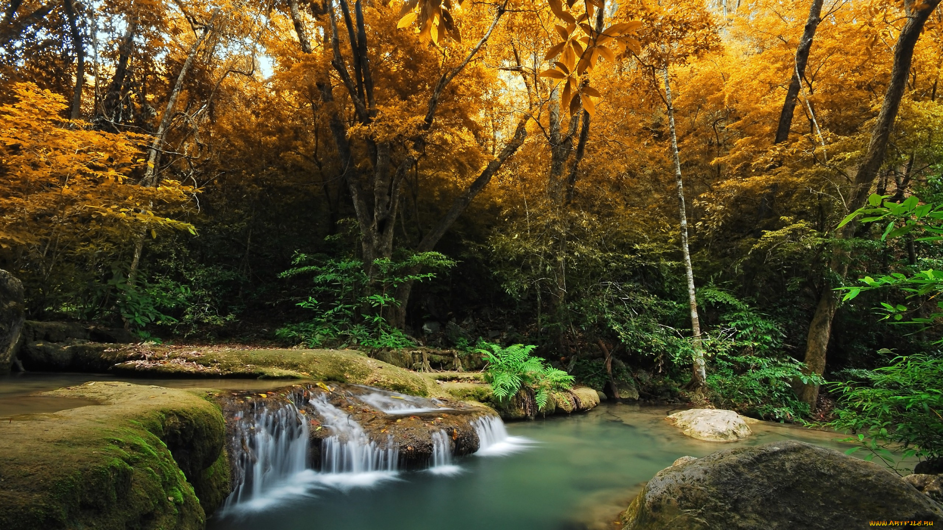 autumn, природа, реки, озера, река, осень, лес