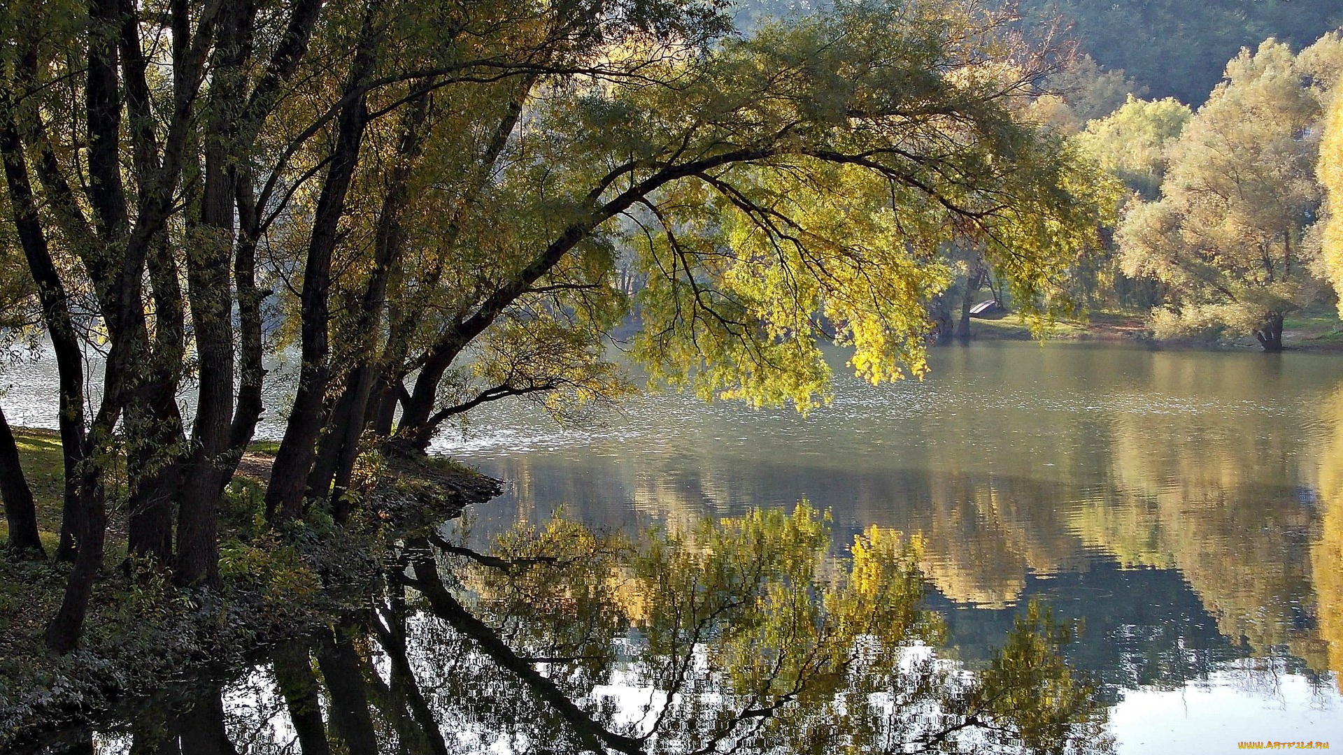 beautiful, reflection, of, autumn, природа, реки, озера, осень, отражение, деревья, река