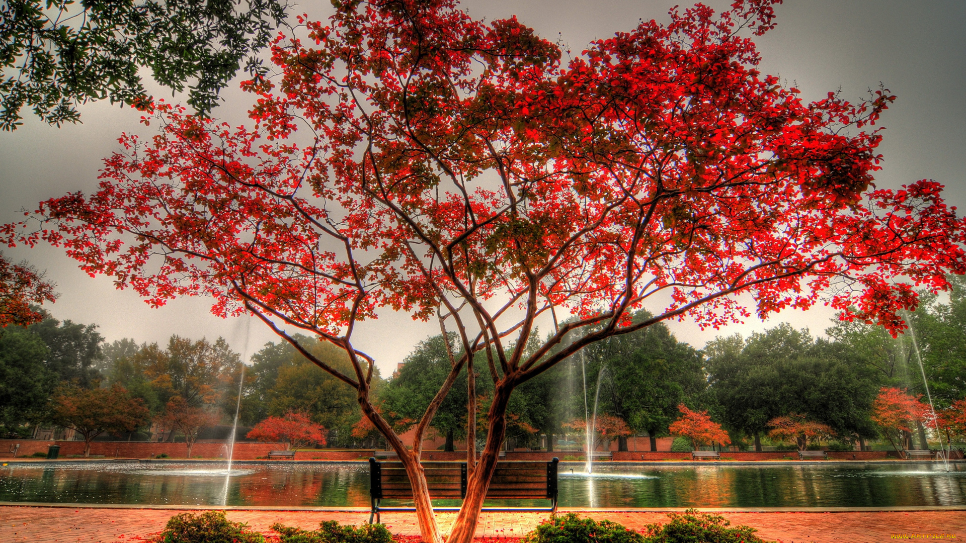 beautyful, autumn, природа, парк, краски, осень, дерево, пруд