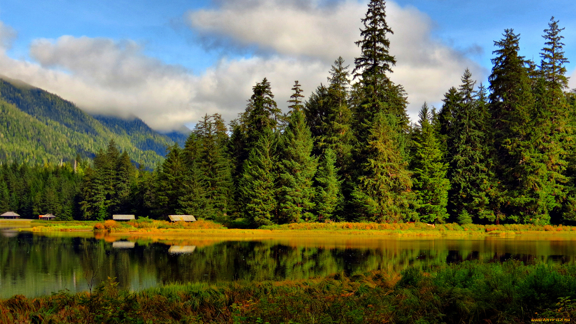 peaceful, place, природа, пейзажи, домики, трава, река, горы, хвоцный, лес, тишина