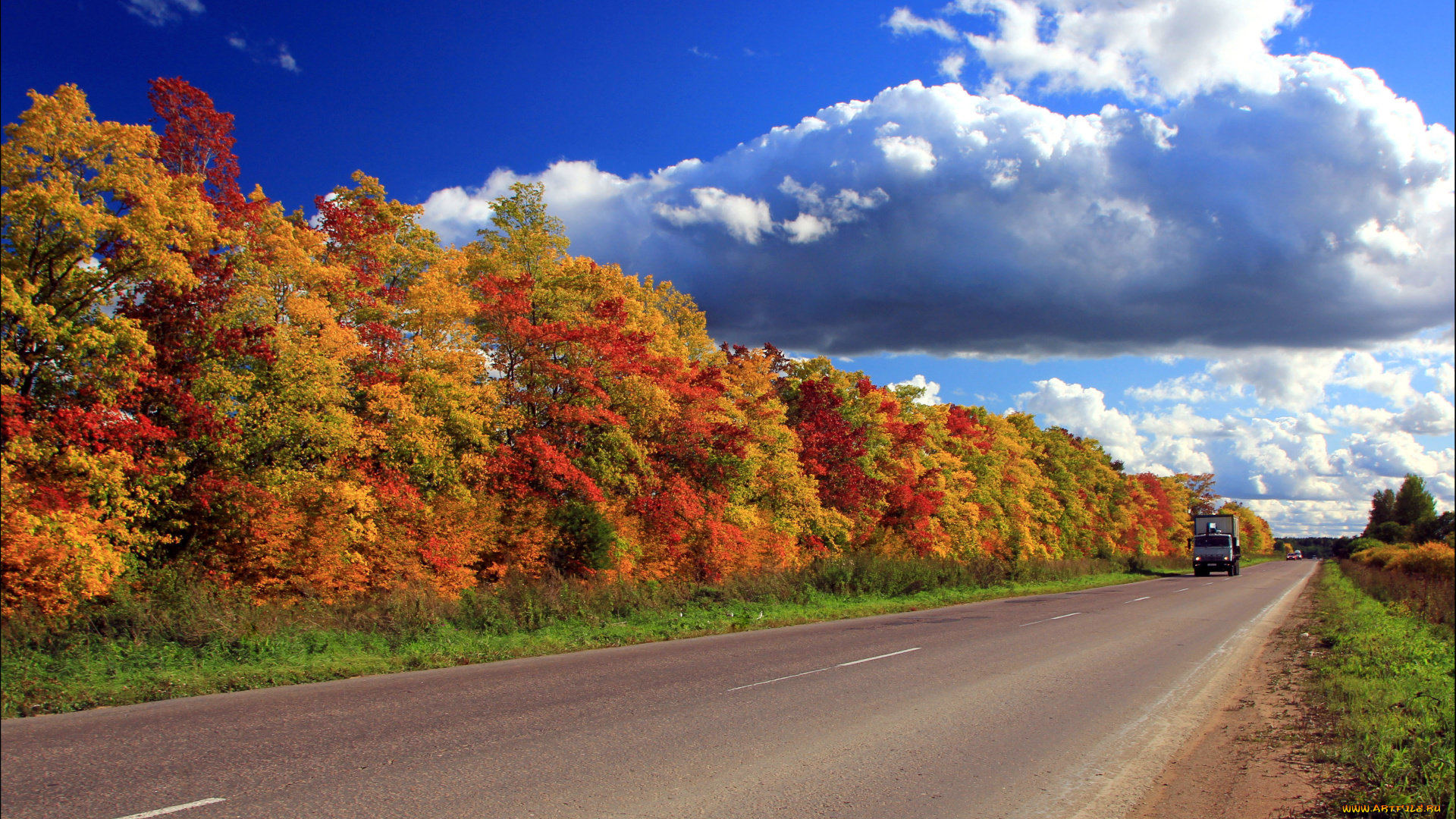 природа, дороги, лес, дорога, россия, осень