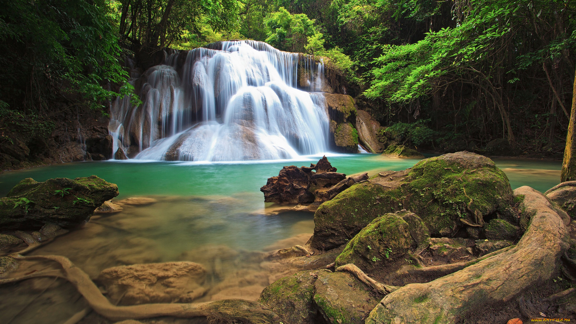 waterfall, природа, водопады, лес, камни, корни, река, водопад