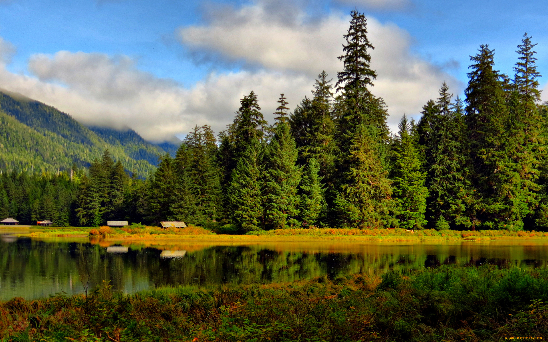 peaceful, place, природа, пейзажи, домики, трава, река, горы, хвоцный, лес, тишина