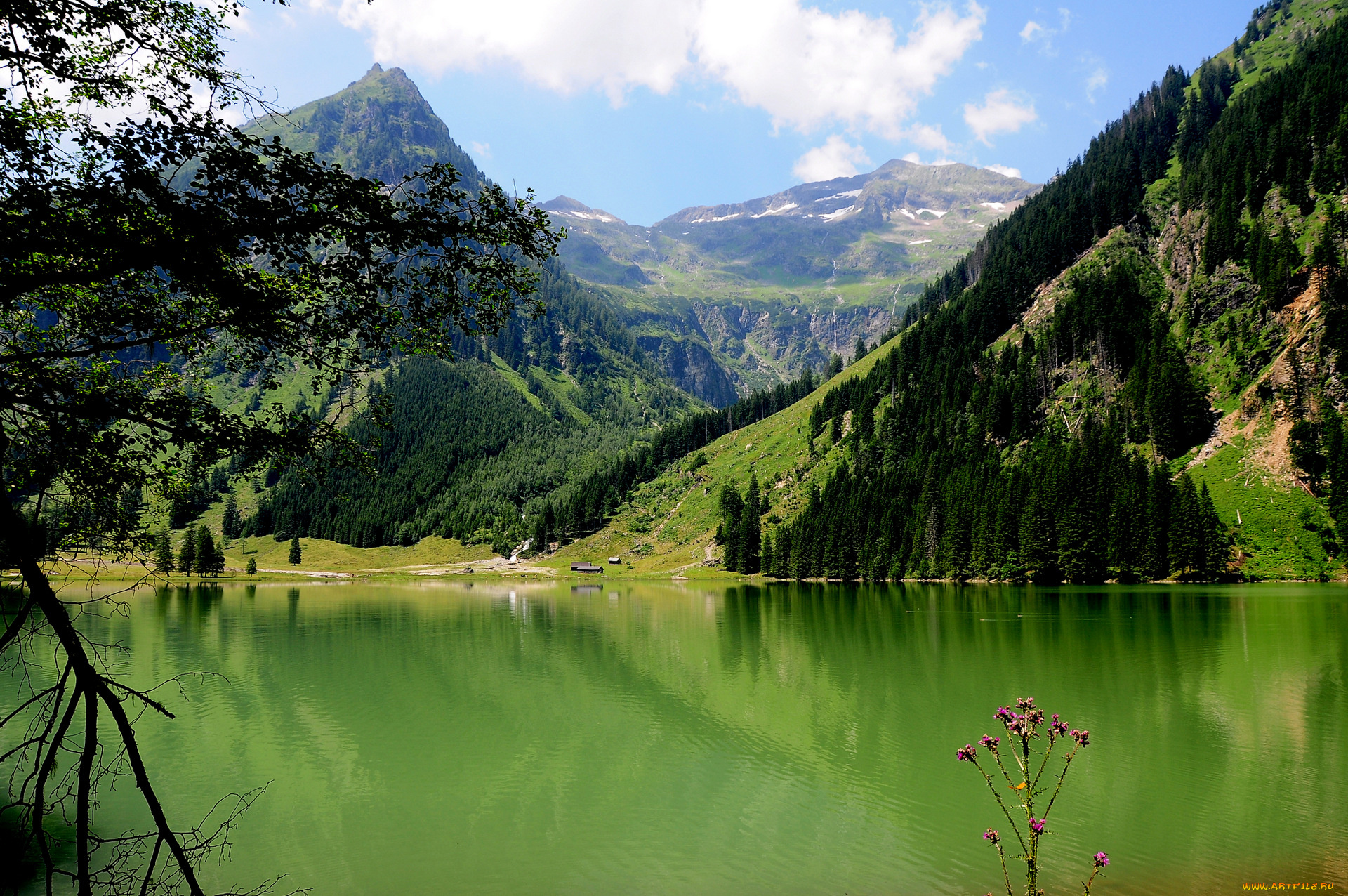 schwarzensee, austria, природа, реки, озера, озеро, леса, горы, зелень