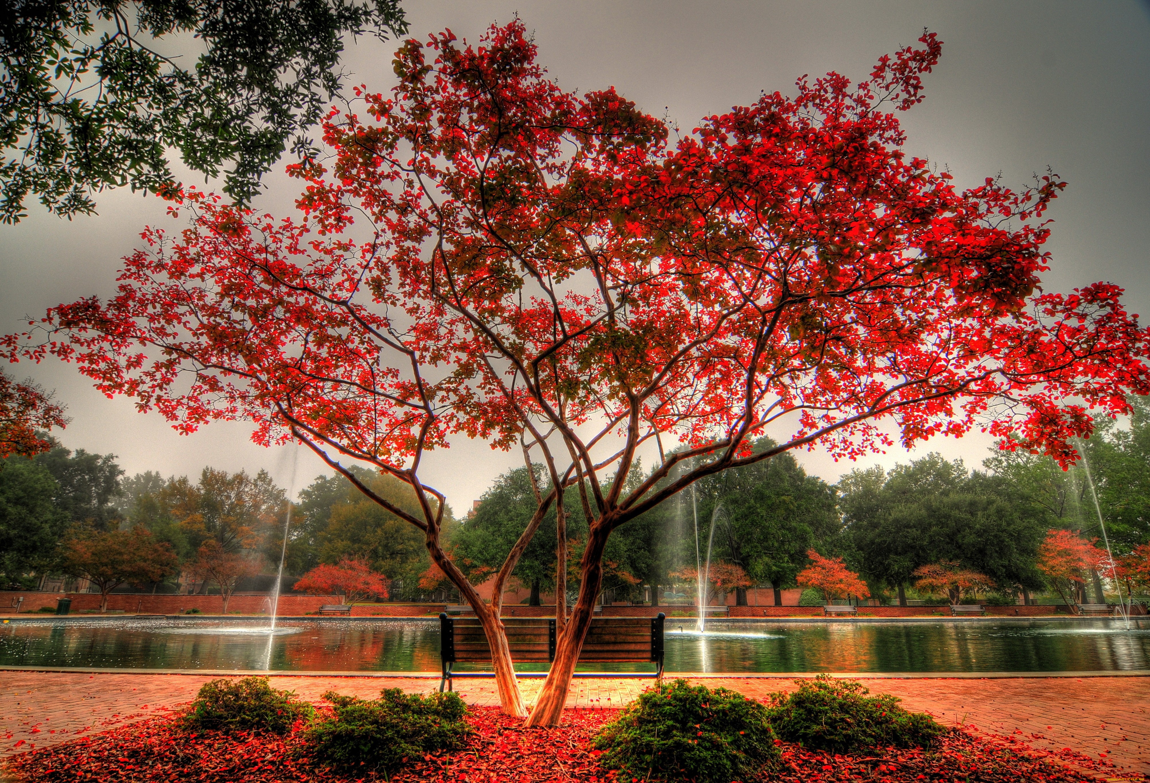 beautyful, autumn, природа, парк, краски, осень, дерево, пруд