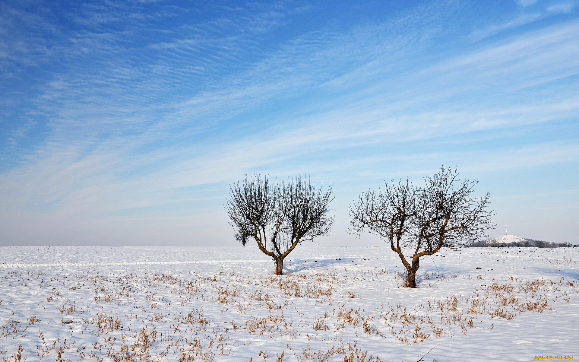 природа, зима, поле, снег, деревья