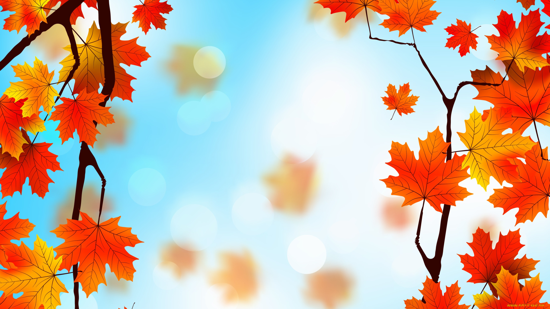 векторная, графика, природа, , nature, фон, leaves, autumn, осенние, листья, maple