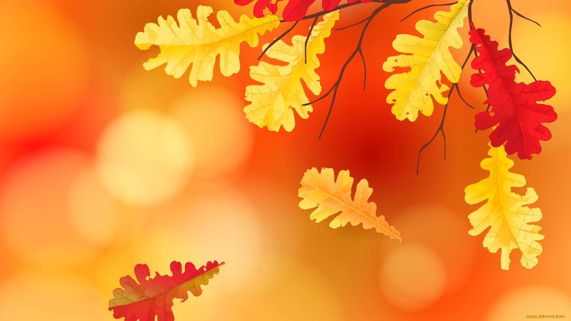 векторная, графика, природа, , nature, фон, осенние, листья, maple, leaves, autumn