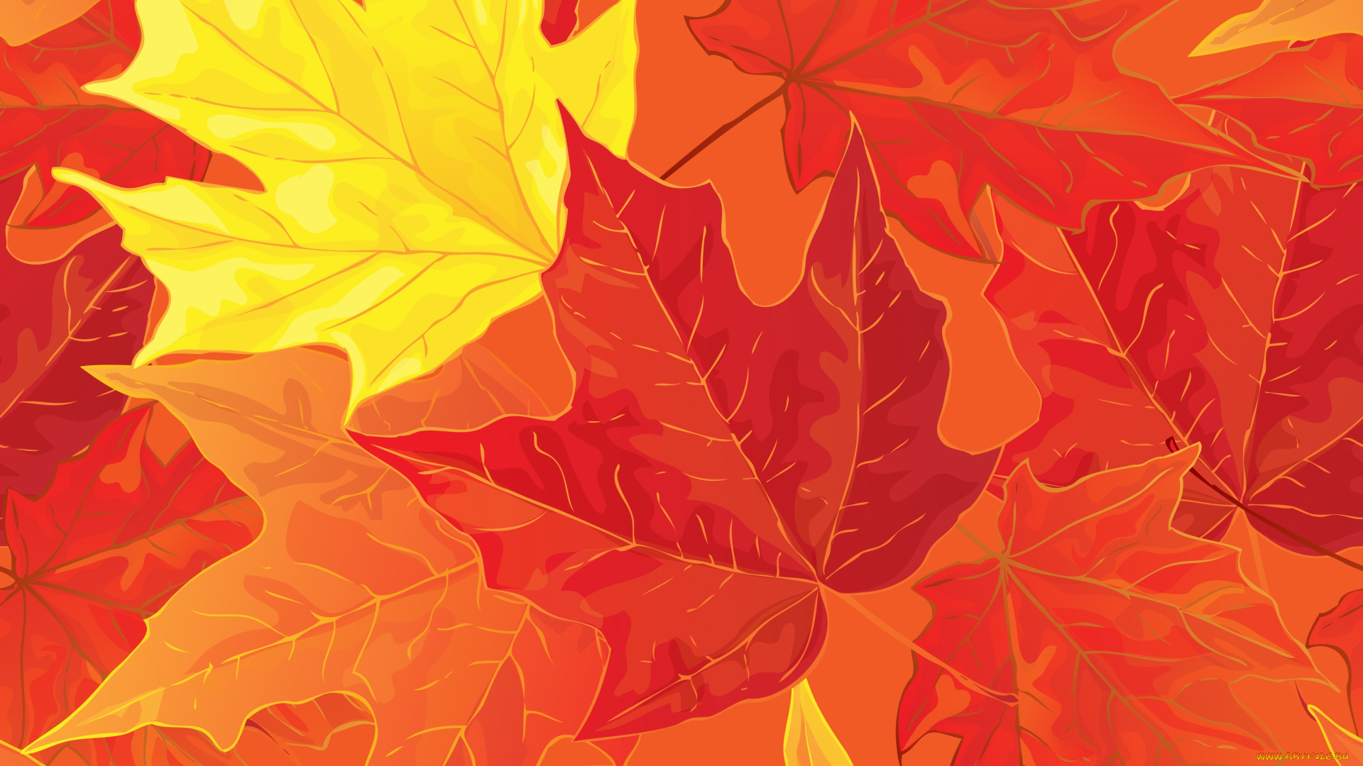 векторная, графика, природа, , nature, фон, осенние, autumn, листья, maple, fall, leaves