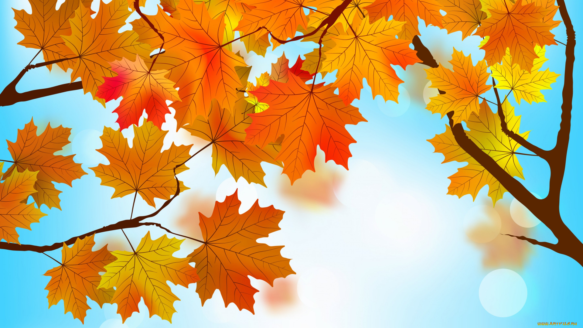 векторная, графика, природа, , nature, осенние, фон, листья, autumn, maple, leaves