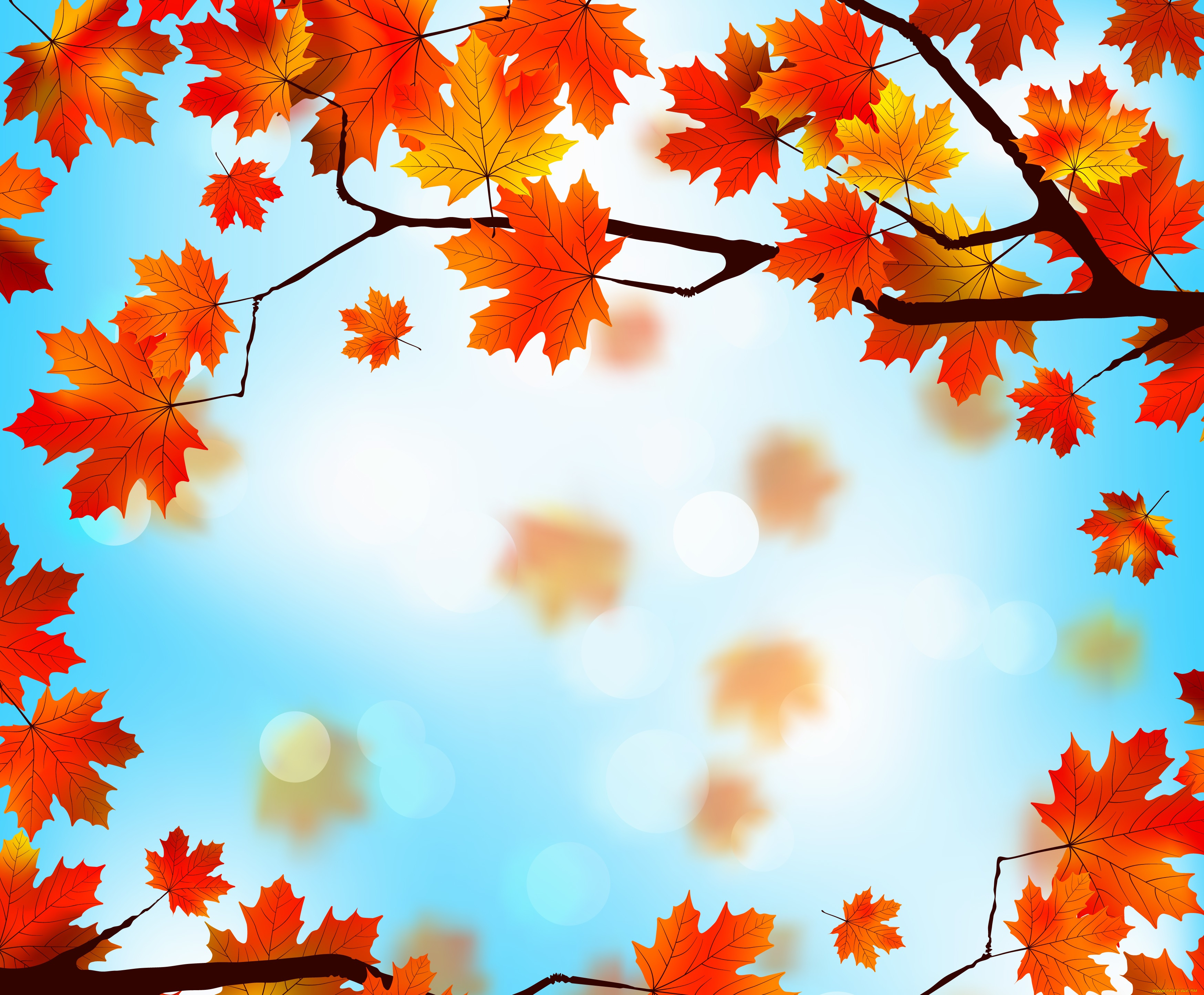 векторная, графика, природа, , nature, листья, maple, leaves, autumn, фон, осенние
