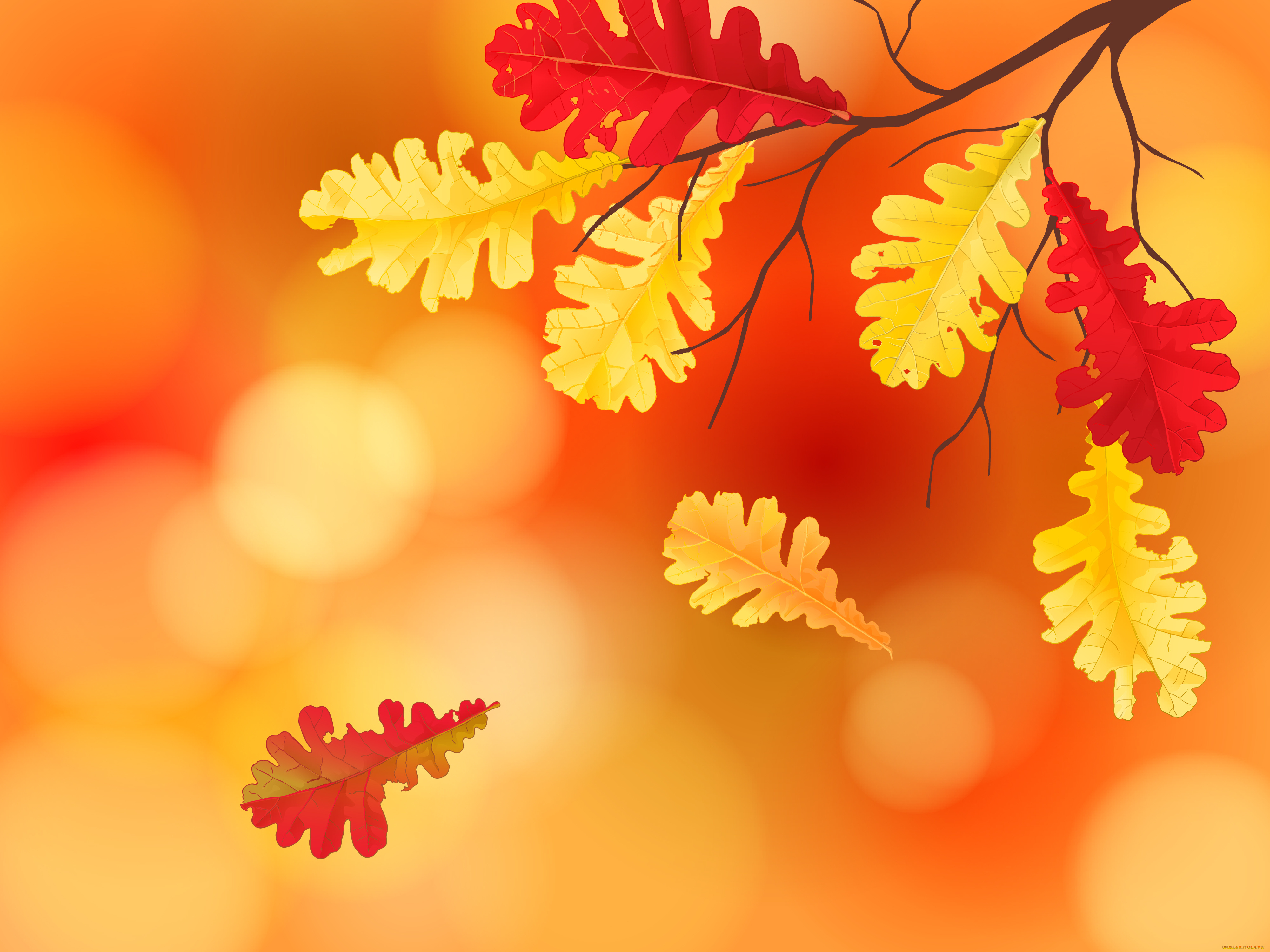 векторная, графика, природа, , nature, фон, осенние, листья, maple, leaves, autumn
