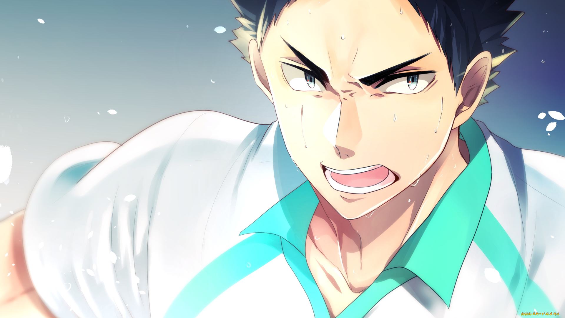 аниме, haikyuu, iwaizumi, hajime