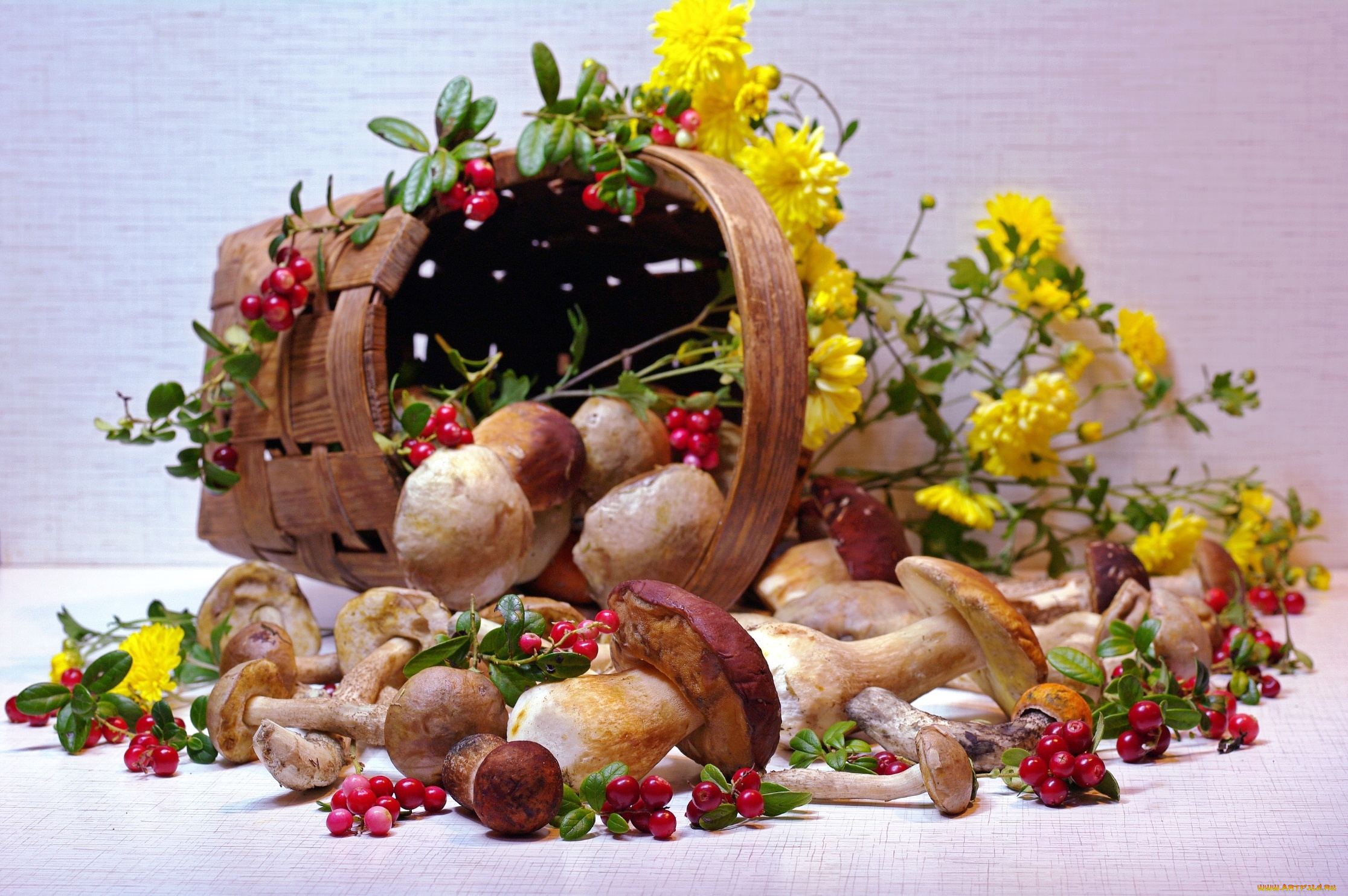 еда, грибы, , грибные, блюда, корзина, брусника, цветы, боровик